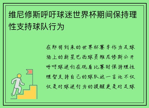 维尼修斯呼吁球迷世界杯期间保持理性支持球队行为